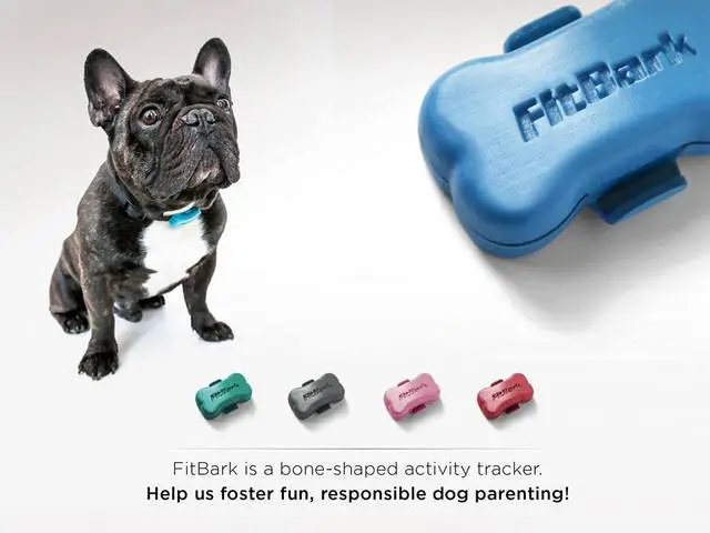 Keep Up With Your Dog with the FitBark Wireless Activity Tracker 4 fitbark