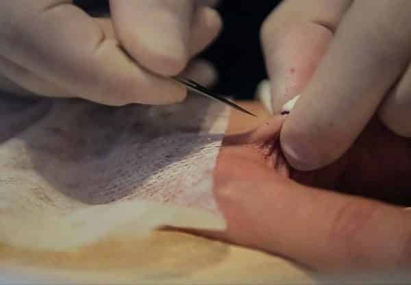 Introducing Tattoos That Are Only Visible Via Smartphone 2 artist-implants-net-art-anthony-antonellis