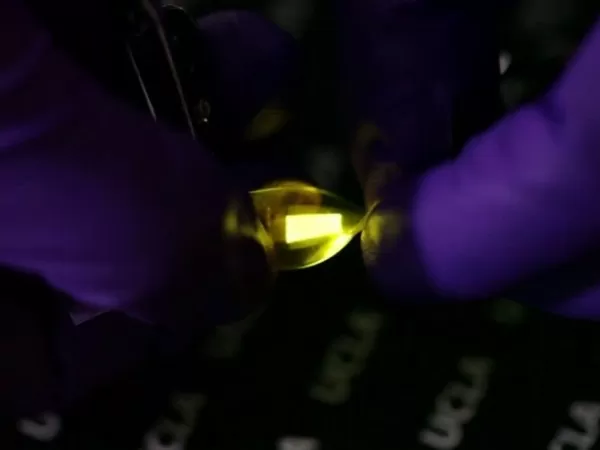 Scientists Develop Stretchy and Foldable OLED Screen 2 Flexing Screen