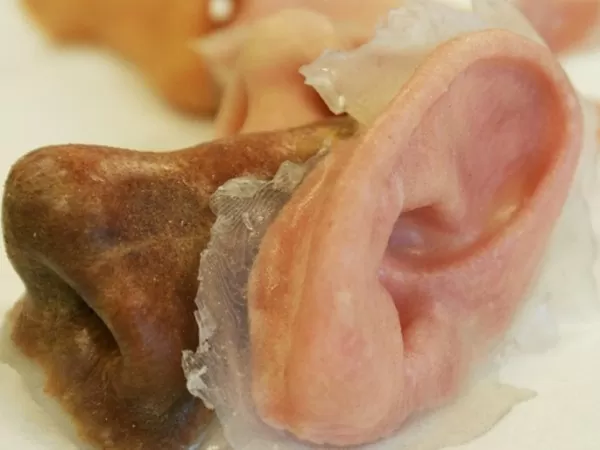 Here is 3D Printed Skin That Fits Right in With Your Flesh 2 Bioprinter1