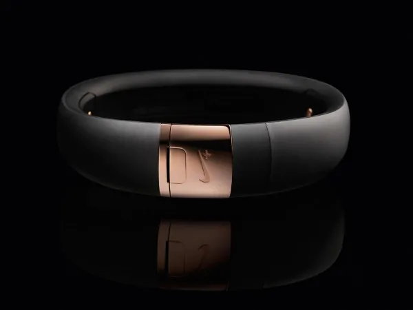 Nike Fuelband SE Now On Sale November 21 in Rose Gold 2 fuelband gold