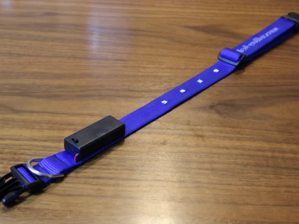 This Bluetooth LED Dog Collar Will Light Fido's Way 2 bluetooth-led-collar-1