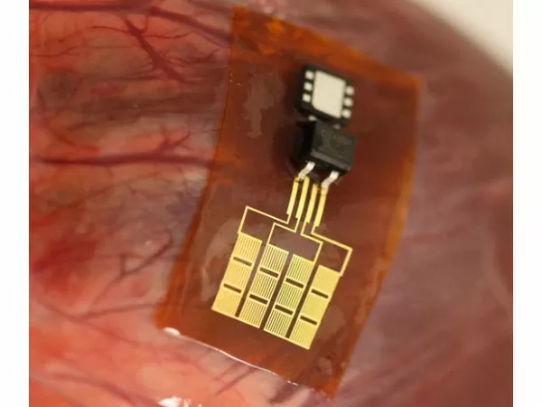 This Device Uses Heartbeats to Charge a Pacemaker 2 piezoelectric-organ-powerplant