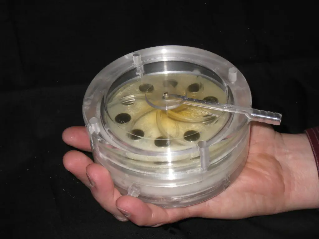 Artificial Lung for Lung Transplant Patients 2 Artificial Lung