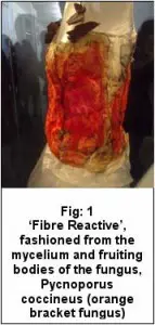 bacteria-dress-2 Micro'be' Fermented Fashion creates beautiful dresses out of booze-based bacteria 3