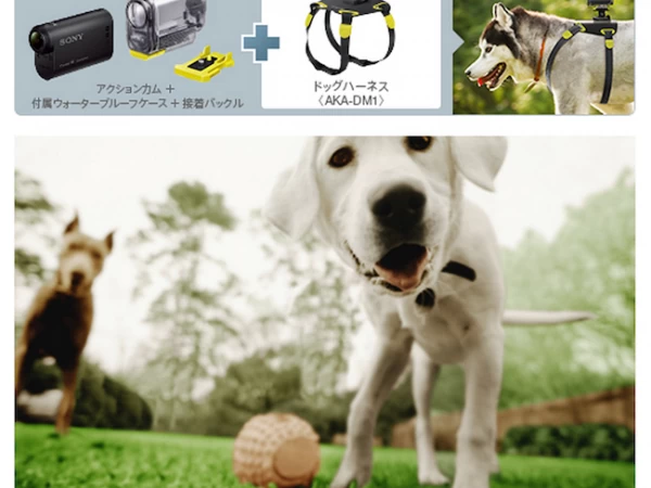 Sony Readies Wearable HD Camera Harness For, um, Dogs 3 dog-cam-lead