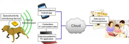dog collar cloud fujitsu 1 All dogs go to digital heaven, introducing Fujitsu's new cloud-enabled canine collar 2