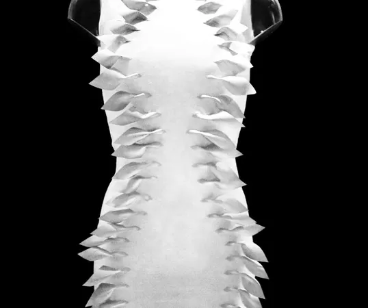 Flutter dress brings high fashion to the hearing impaired 2 flutter dress 1