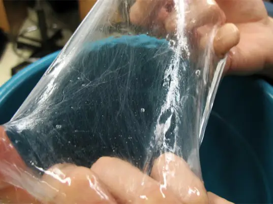 Having a hard time finding spider silk? Get your garments made from hagfish slime 2 hagfish slime 1