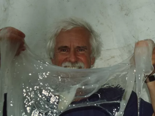 Having a hard time finding spider silk? Get your garments made from hagfish slime 3 hagfish-slime-2