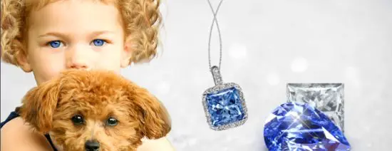 Remember your pet forever by turning them into a diamond necklace 2 pet-diamond-1