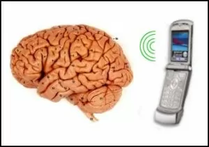 phone cancer EHP publishes study suggesting cell phone usage does not contribute to brain cancer 2