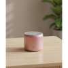 EWA A106 Pro Mini Bluetooth Speaker Rose Gold Portable with Travel Case