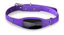 BLACK+DECKER Smart Dog Collar - VIOLET BLACK+DECKER Smart Dog Collar - VIOLET