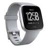 Fitbit Versa Smart Watch - GRAY/SILVER