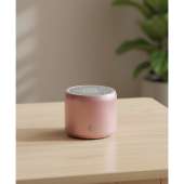 EWA A106 Pro Mini Bluetooth Speaker Rose Gold Portable with Travel Case