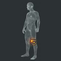 Pro Kit + Knee Wrap - MYOVOLT&trade;