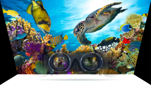 VISIONHMD-BIGEYES H1