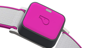 Whistle GO Explore Review & Rating