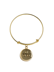 Gold Replacement Bracelet &ndash; invisaWear