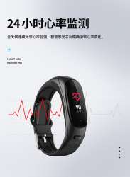 V08pro