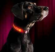Illumiseen LED Dog Collar - COTTON CANDY PINK