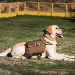 Buy OneTigris Nylon Dog Pack Hound Hiking ...