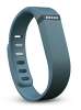 Fitbit Flex - Slate Fitbit Flex - Slate