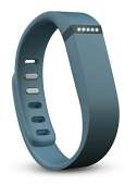 Fitbit Flex - Slate