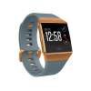 Fitbit Ionic - Slate Blue/Burnt Orange Fitbit Ionic - Slate Blue/Burnt Orange
