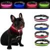 Halo Mini Alternative - Talis Light-Up Dog Collar (Large, Red) Halo Mini Alternative - Talis Light-Up Dog Collar (Large, Red)