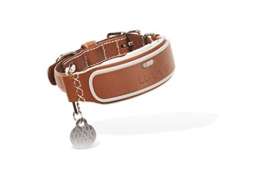 LINK AKC Smart Dog Collar - Leather/Medium (KITTN02)