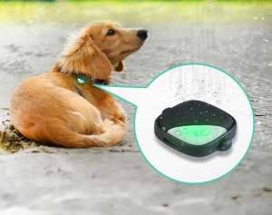 Petfon Pet GPS Tracker [Review] Features, Price & Buy ...