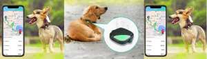 Petfon Pet GPS Tracker [Review]