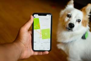 Whistle Go Explore Impressions: A Smarter Pet Tracker ...