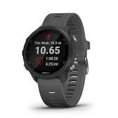 Garmin Forerunner 245 - SLATE GRAY