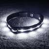 Blazin' Safety LED Dog Collar – USB Rechargeable with Water Resistant Flashing Light – XSmall Black Blazin' Safety LED Dog Collar – USB Rechargeable with Water Resistant Flashing Light – XSmall Black
