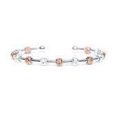 Count Me Healthy Wellness Journal Bracelet - Two Tone Silver and Rose Gold with Silver Cuff
