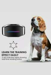 DOG CARE Dog Bark Collar - Effective Bark Collar for Dogs ...