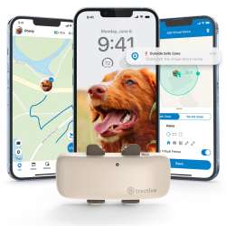 Amazon.com: Tractive GPS Pet Tracker for Dogs - Waterproof, GPS
