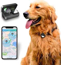 Best Dog Trackers UK