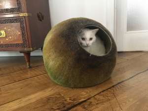 Pure Wool Cat Nap Cocoon / Cat Cave / Cat Bed / Natural Felt