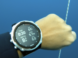 Review: Garmin Descent Mk2 Dive Computer – Freediving Perspectives
