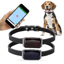 TrackBuddy™ Dog Tracker - GPS Dog Tracking Collar | Coleiras para cães ...