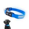 Tractive LED Light Up Dog Collar - 3 Light Modes for Night Walking, Waterproof, Rechargeable, Up... Tractive LED Light Up Dog Collar - 3 Light Modes for Night Walking, Waterproof, Rechargeable, Up...