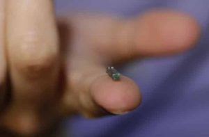 Skin Implant Analyses Blood 1