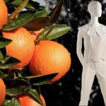 There is a New High Fashion Textile Made From Oranges 12