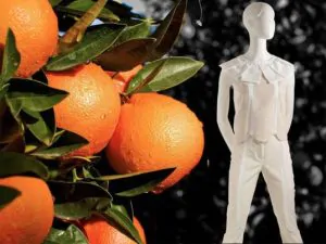 There is a New High Fashion Textile Made From Oranges 1 There is a New High Fashion Textile Made From Oranges 1