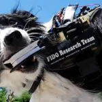 Introducing FIDO - The Wearable Computer For Man's Best Friend 26