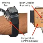 Introducing the Endotheliometer - A Device That Tracks Your Mortality 21